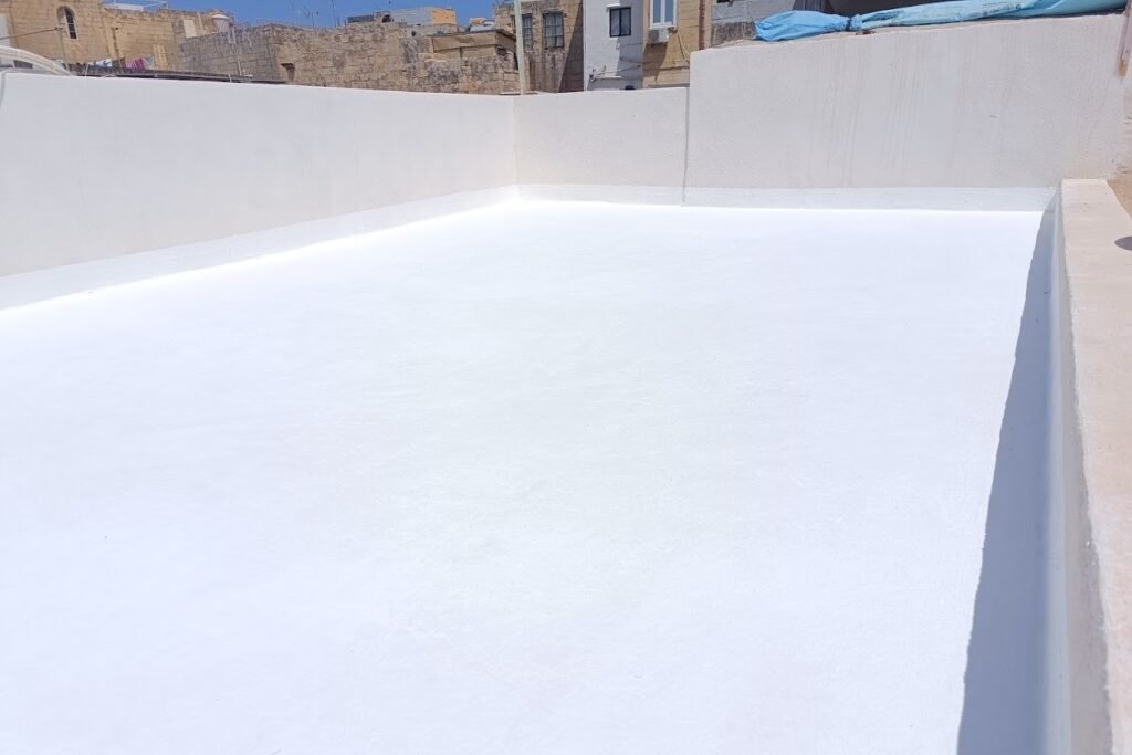 IMG 20240804 141254 1 1024x683